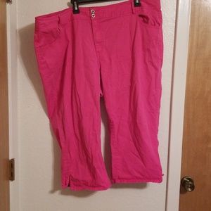 Lane Bryant Pink Capris
